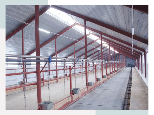 Строительство коровников в Кунгуре от 615 руб.