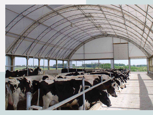 Тентовые коровники в Кунгуре